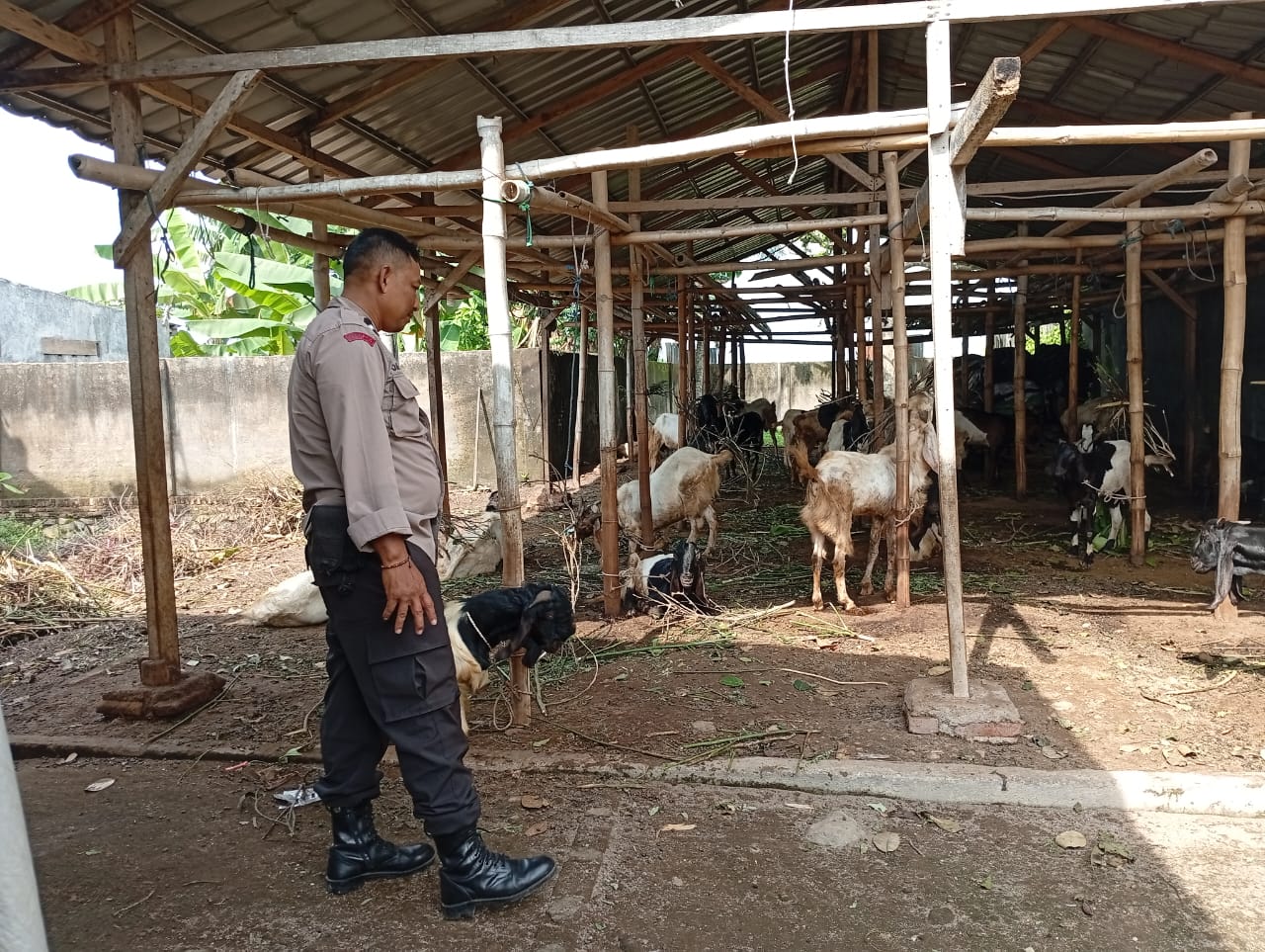 Sinergi Polri dan Warga Wujudkan Ketahanan Pangan Berkelanjutan