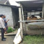 Sinergi Polri dan Warga Dukung Ketahanan Pangan di Desa Jagaraga
