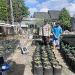 Polri Dukung Ketahanan Pangan Melalui Program Sosialisasi di Desa Kuripan Utara