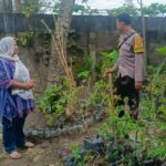 DDS Bhabinkamtibmas: Sinergi Keamanan dan Ketahanan Pangan Warga
