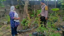 DDS Bhabinkamtibmas: Sinergi Keamanan dan Ketahanan Pangan Warga