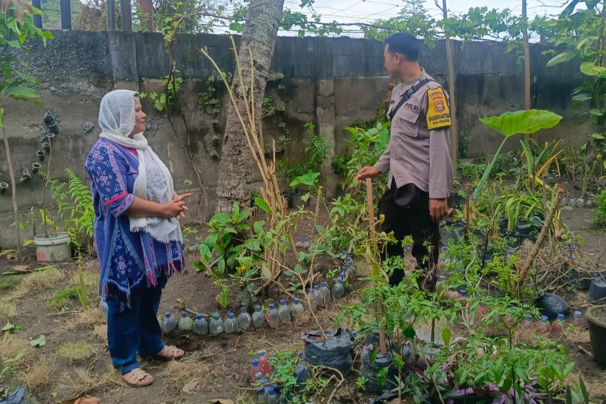 Silaturahmi DDS Dorong Warga Desa Perampuan Manfaatkan Pekarangan