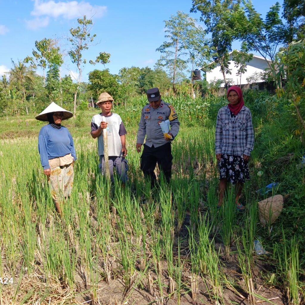 Bhabinkamtibmas Desa Giri Tembesi Berikan Motivasi dan Saran Pertanian kepada Petani