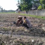 Sinergi Polri dan Masyarakat dalam Mewujudkan Ketahanan Pangan di Lombok Barat