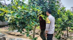 Polri dan Petani Bersatu Wujudkan Program Pangan Nasional di Lombok Barat