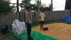 Bhabinkamtibmas Sekotong Barat Aktif Jaga Ketahanan Pangan dan Sampaikan Pesan Kamtibmas