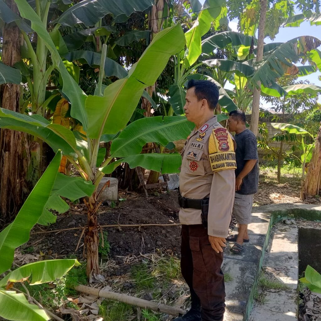 Program Ketahanan Pangan Desa Terong Tawah: Peran Bhabinkamtibmas dalam Pengecekan Lahan dan Pemantauan Harga