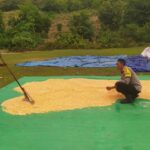 Polri Jalin Sinergi Petani untuk Wujudkan Ketahanan Pangan di Sekotong