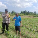 Bhabinkamtibmas Desa Beleka Lakukan Silaturahmi, Dukung Ketahanan Pangan Lokal