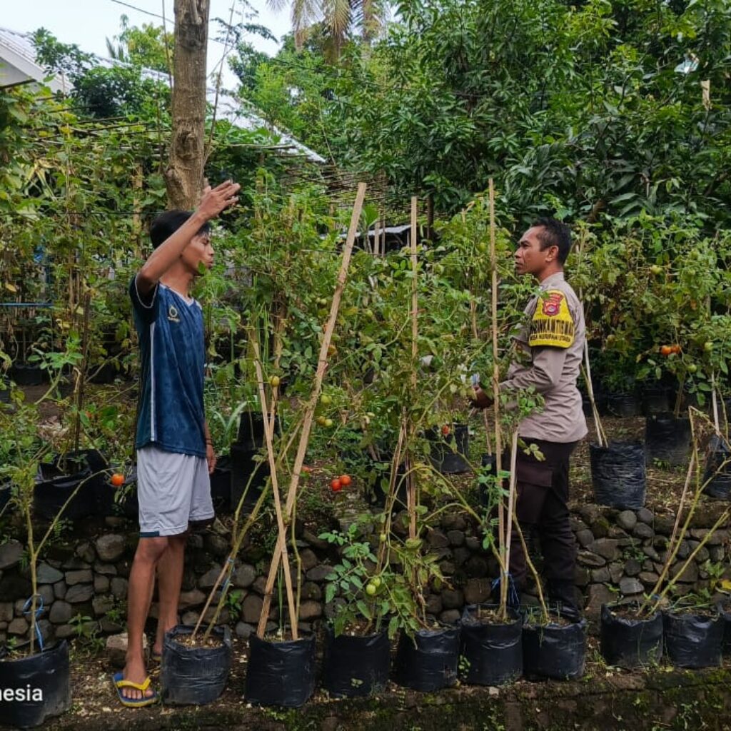 Kunjungan Bhabinkamtibmas: Edukasi Pemuda tentang Ketahanan Pangan Pekarangan