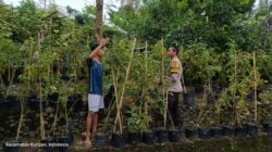 Kunjungan Bhabinkamtibmas: Edukasi Pemuda tentang Ketahanan Pangan Pekarangan