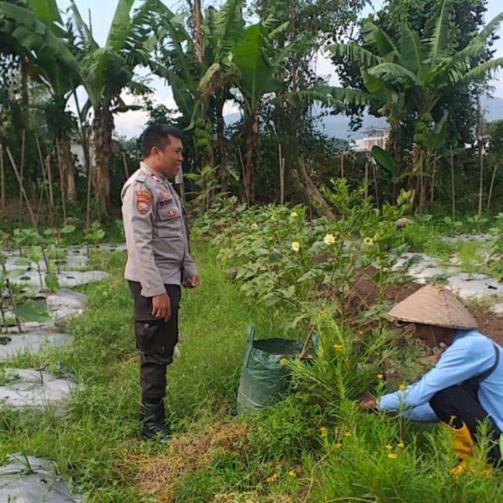Optimalisasi Lahan untuk Ketahanan Pangan: Langkah Nyata Polri di Lombok Barat