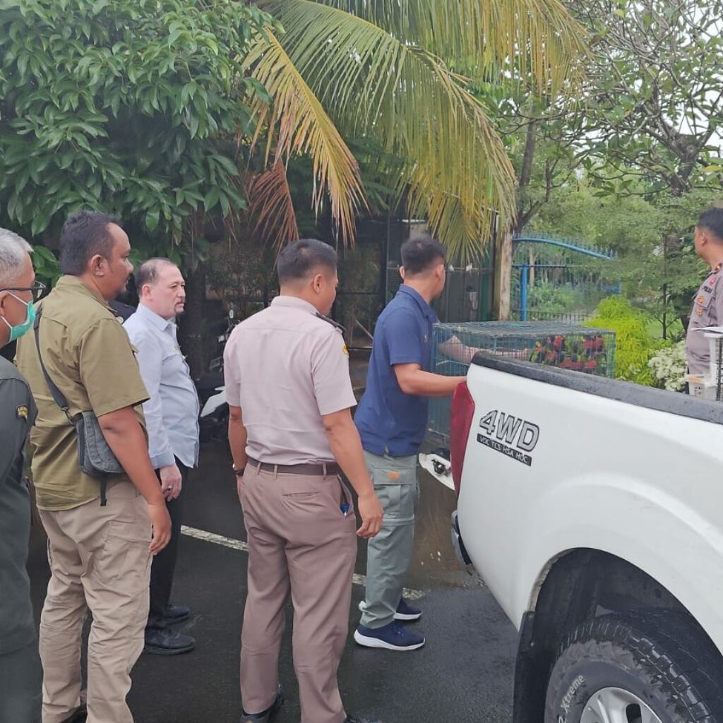 Balai Karantina NTB dan Polisi Gagalkan Perdagangan Burung Ilegal di Pelabuhan Lembar