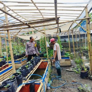 Warga Dusun Tempit Didorong Tanam Cabai dan Tomat, Polri Aktif Dukung Kemandirian Pangan