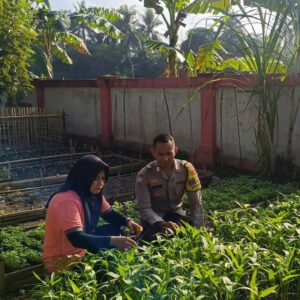 KWT Dusun Pemangket Manfaatkan Pekarangan, Polsek Kuripan Beri Dukungan Penuh
