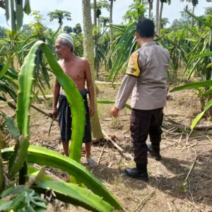 Polisi Desa di Gelogor Aktif Dampingi Petani Lindungi Tanaman