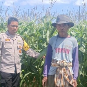 Polsek Gerung Intensifkan Pendampingan Petani di Dusun Bila Tepung