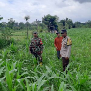 Sinergi Polri dan Petani Montong Are Wujudkan Swasembada Pangan