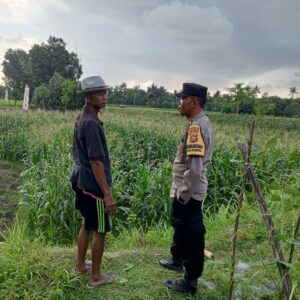Bhabinkamtibmas Edukasi Petani Kuripan Utara Soal Ketahanan Pangan