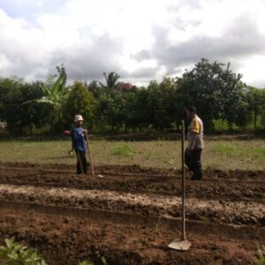 Polri Gandeng Petani Kediri Wujudkan Ketahanan Pangan Nasional