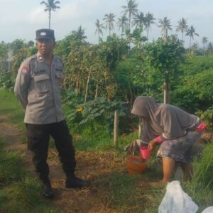 Bhabinkamtibmas Dorong Ketahanan Pangan di Montong Are, Lombok Barat