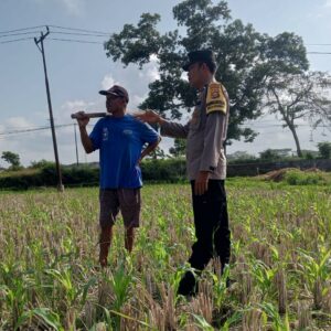 Sinergi Polisi dan Petani di Desa Kuripan: Pekarangan Rumah Jadi Solusi Pangan Mandiri