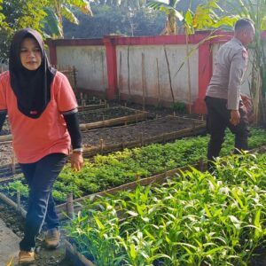 Optimalisasi Pekarangan, Polri dan Warga Kuripan Utara Sinergi Wujudkan Swasembada Pangan