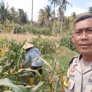 Sinergi Polri dan Petani di Desa Batu Putih Perkuat Ketahanan Pangan Lokal