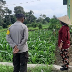 Polsek Kediri Dorong Swasembada Pangan Lewat Pendampingan Petani Montong Are