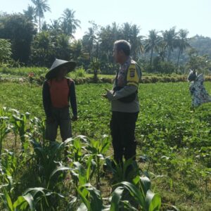 Dorong Ketahanan Pangan, Bhabinkamtibmas Sandik Edukasi Pemanfaatan Lahan Kosong