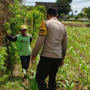 Polsek Labuapi Dorong Ketahanan Pangan Lewat Pasar Murah dan Edukasi Petani
