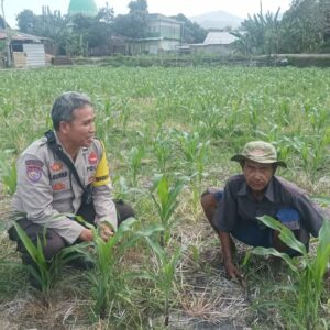 Pemanfaatan Pekarangan di Desa Sandik Jadi Contoh Ketahanan Pangan Lokal