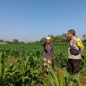 Wujudkan Ketahanan Pangan, Bhabinkamtibmas Sandik Dorong Pemanfaatan Lahan Kosong