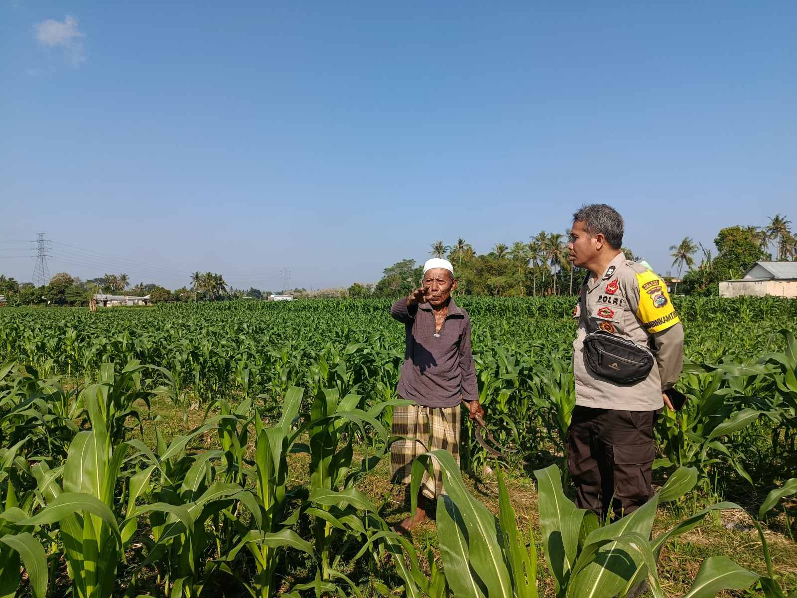 Dukung Ketahanan Pangan, Bhabinkamtibmas Sandik Edukasi Warga Perempung