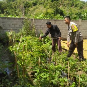 Ketahanan Pangan Dimulai dari Pekarangan: Inisiatif Polri di Sekotong Tengah