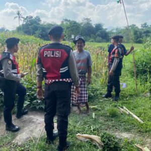 Sat Samapta Polres Lobar Patroli Pertanian di Kebon Ayu