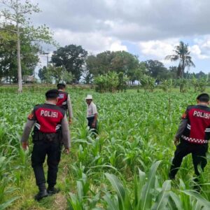 Polri dan Petani Bersinergi Jaga Ketahanan Pangan di Desa Batu Putih, Sekotong
