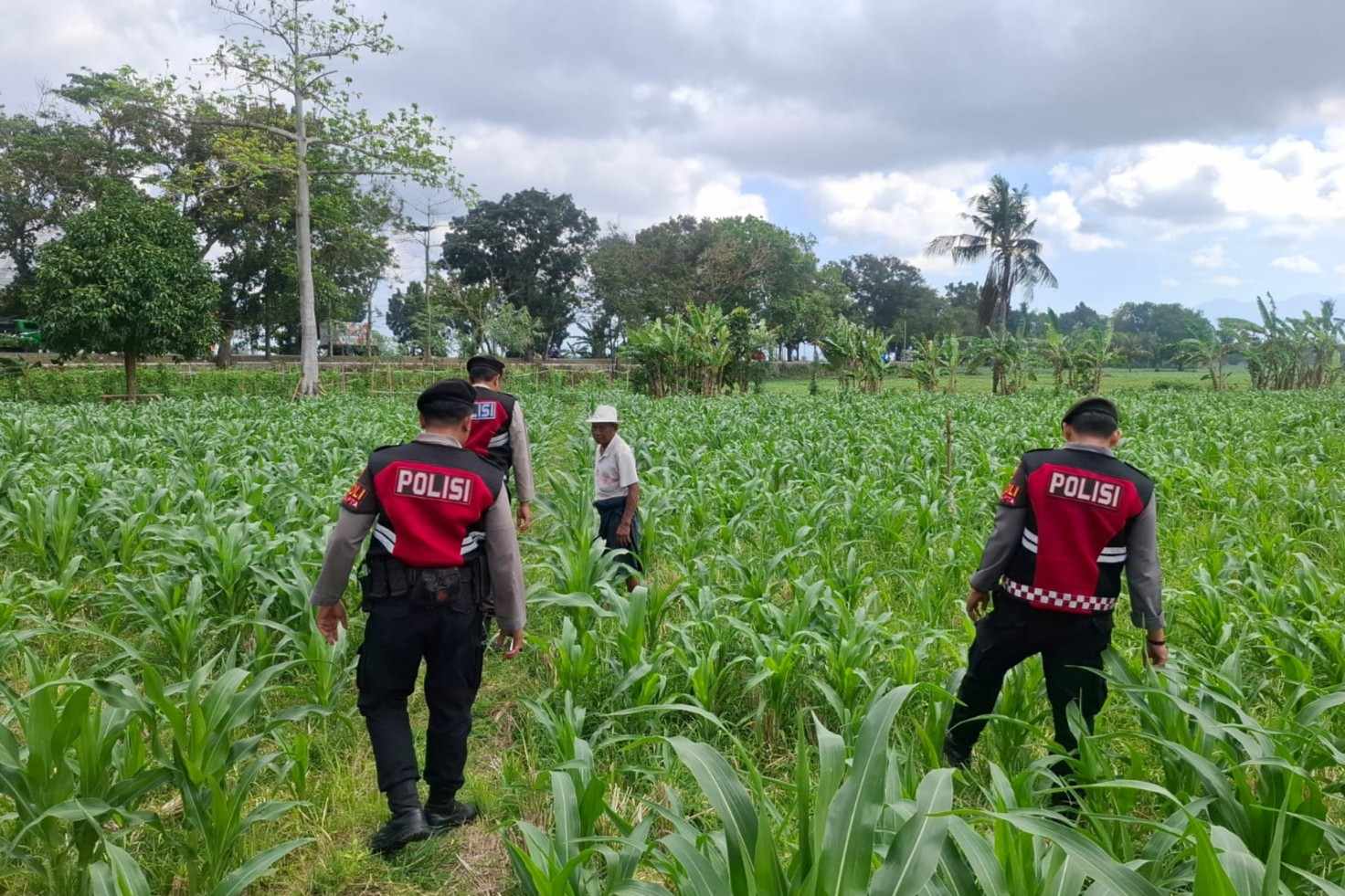 Polres Lombok Barat Dampingi Petani Gerung Utara, Dukung Swasembada Pangan