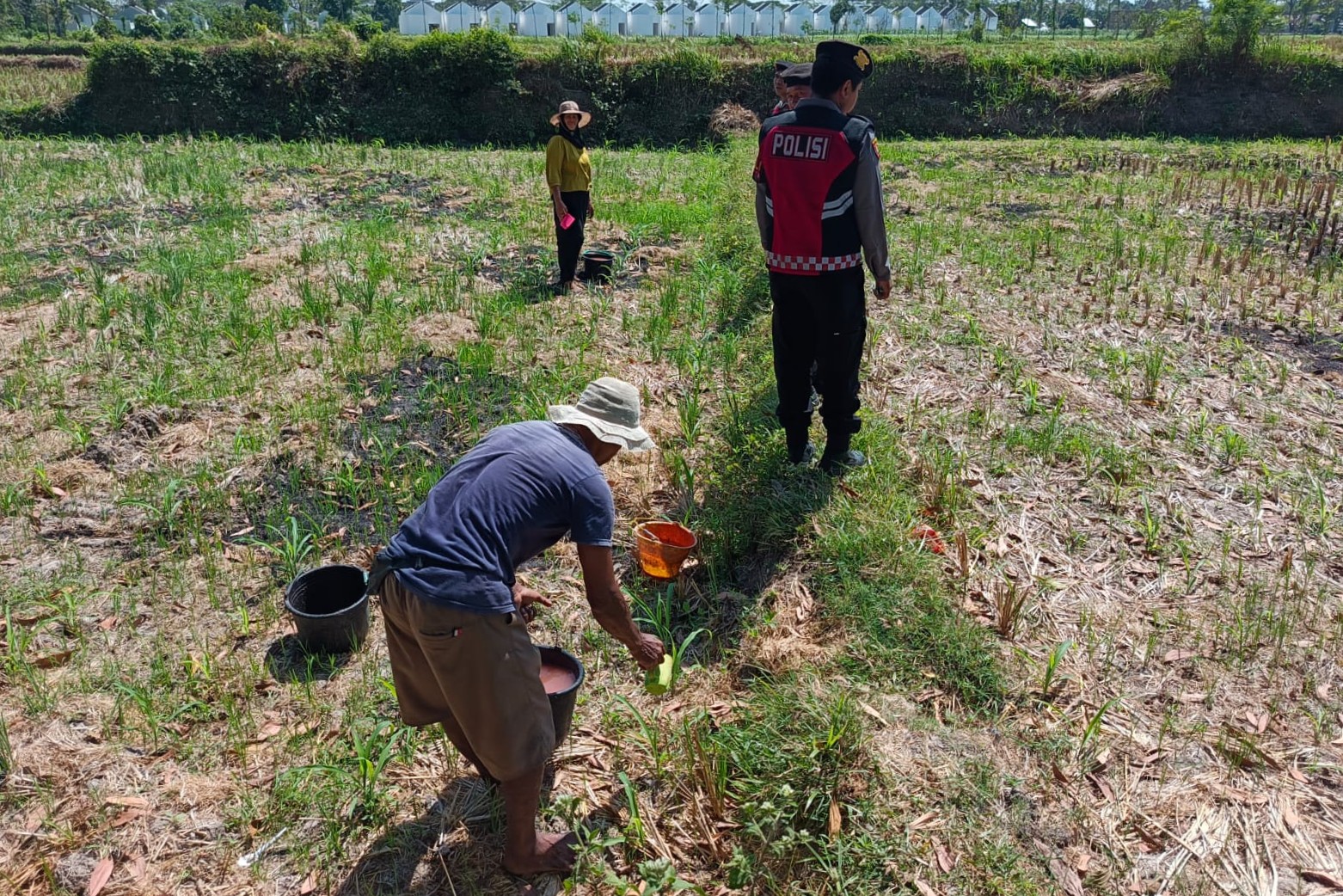 Polres Lombok Barat Dukung Ketahanan Pangan Lewat Patroli Humanis di Desa Kuripan