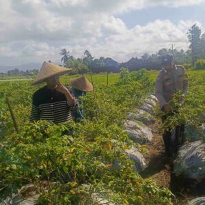 Sinergi Petani dan Polri di Kuripan Perkuat Kemandirian Pangan Lokal