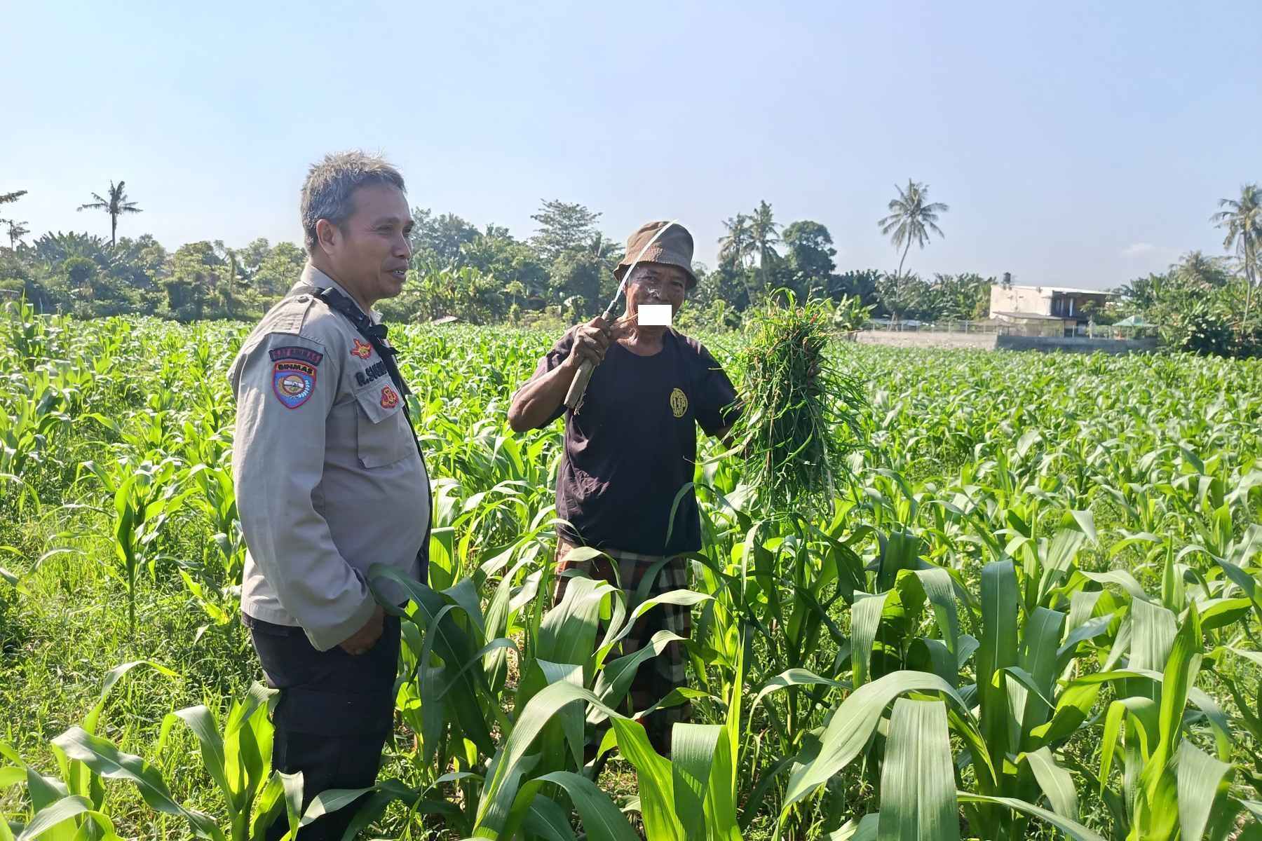 Polsek Batulayar Ajak Masyarakat Perempung Maksimalkan Lahan untuk Ketahanan Pangan