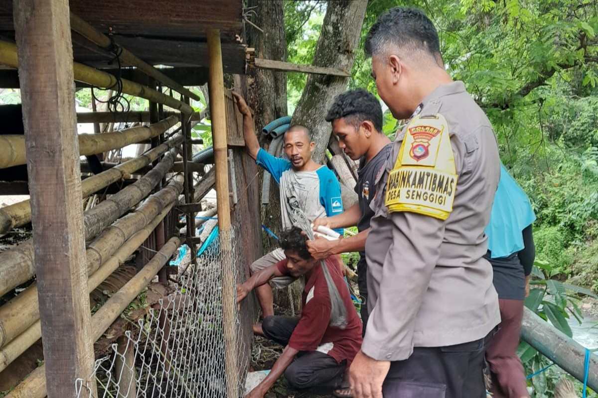 Sinergi Polisi dan Warga Krandangan: Optimalkan Lahan Kosong Jadi Sumber Pangan