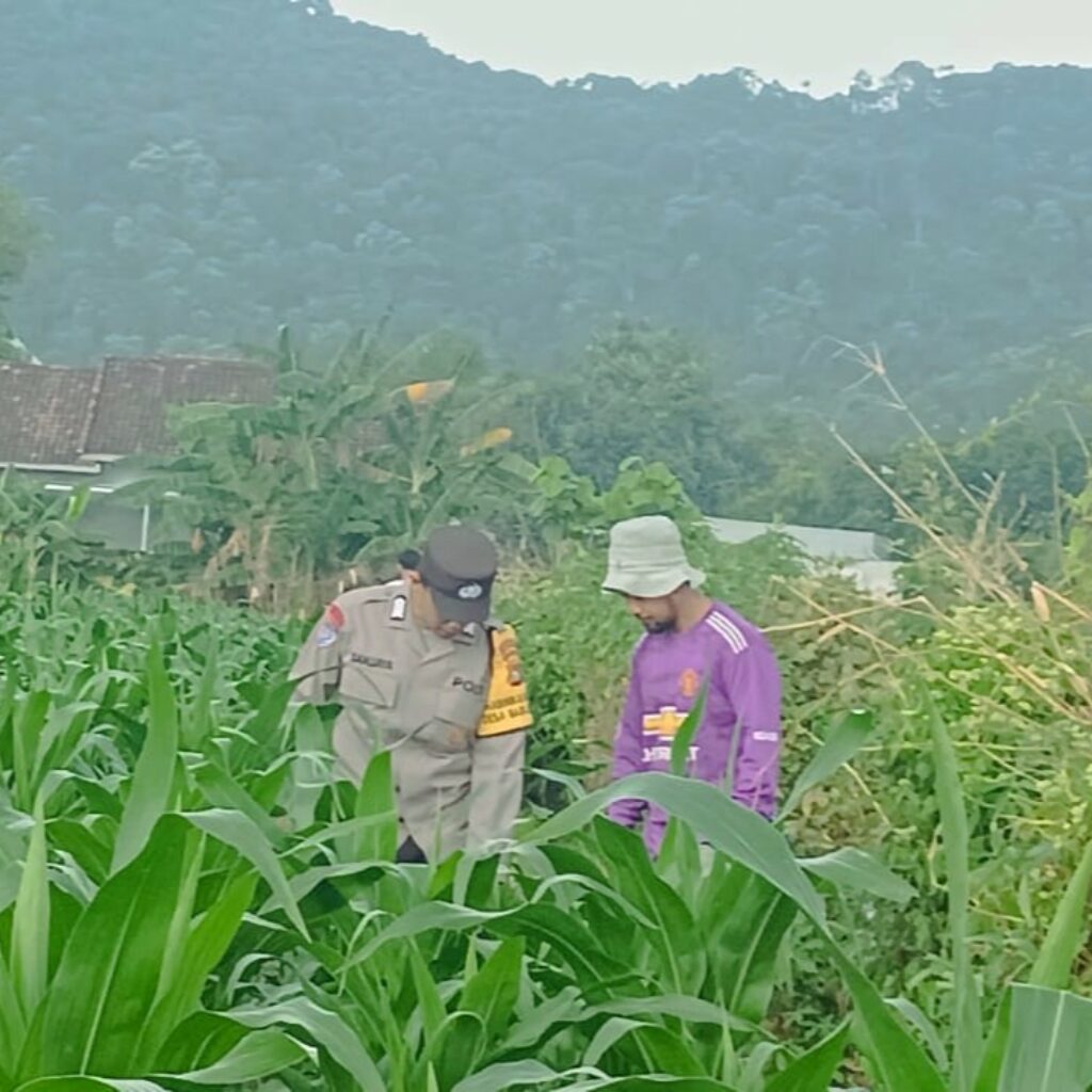 Polri Hadir di Tengah Petani: Bripka Ketut Sanjaya Bangun Semangat Bertani di Desa Babussalam