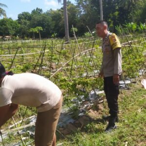 Polsek Sekotong Ajak Petani Dusun Berambang Tingkatkan Ketahanan Pangan