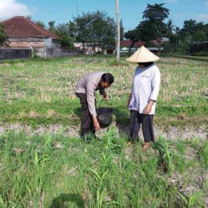 Polsek Kuripan Ajak Warga Dusun Due Pelet Wujudkan Kemandirian Pangan