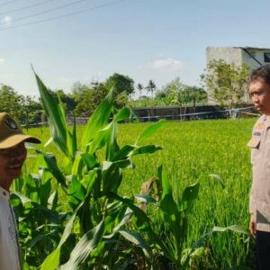 Polsek Labuapi Ajak Petani Telagawaru Maksimalkan Lahan Rumah
