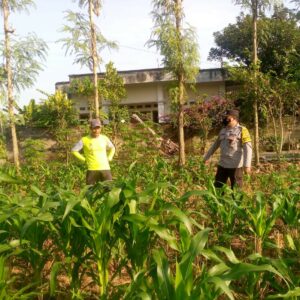 Sosialisasi Ketahanan Pangan di Jagaraga, Bhabinkamtibmas Dorong Pemanfaatan Lahan Produktif