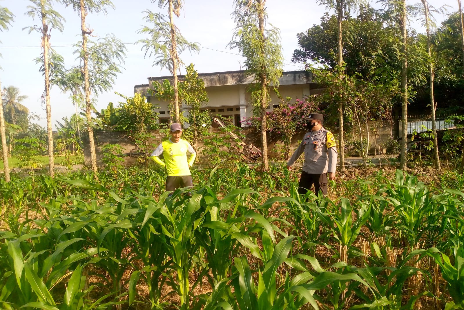 Kolaborasi Polisi dan Petani di Jagaraga untuk Wujudkan Lumbung Pangan Lokal