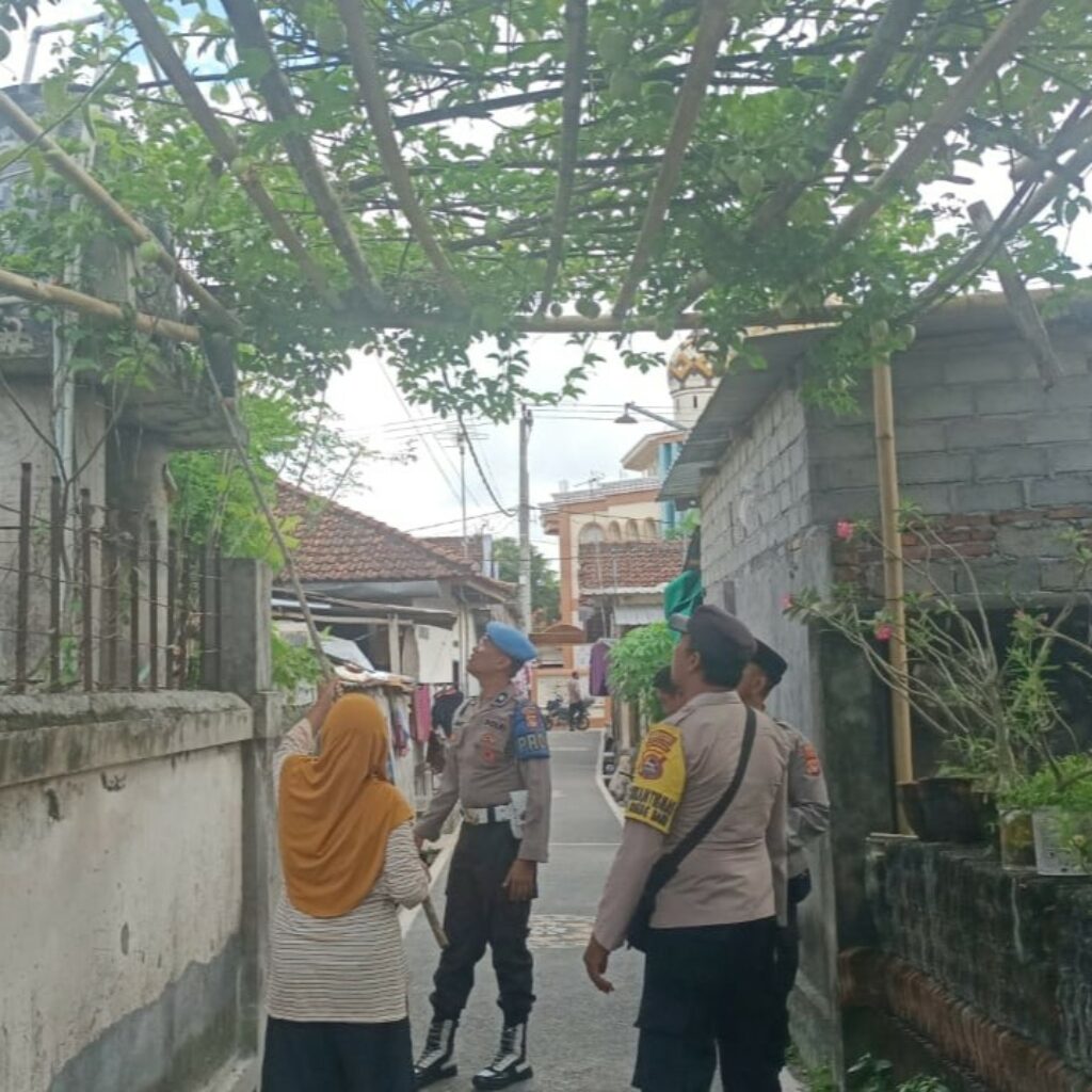Bhabinkamtibmas Desa Ombe Baru Ajak Warga Wujudkan Kemandirian Pangan dari Pekarangan