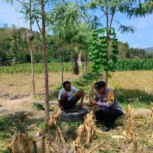 Polri Aktif Dampingi Petani Jagung di Dusun Jelateng Baru, Lombok Barat